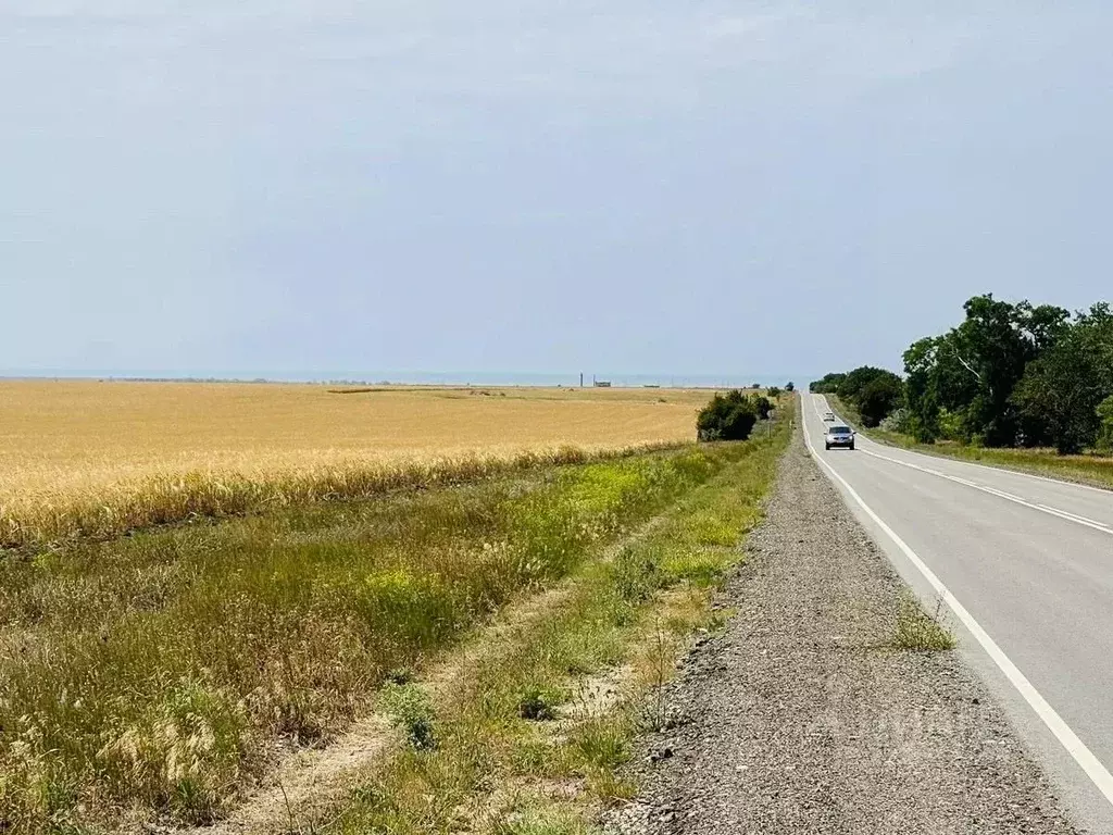 Участок в Крым, Черноморский район, Новосельское с/пос  (11.0 га.) - Фото 2