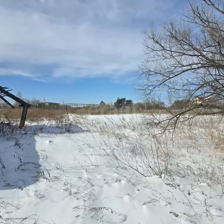 Участок в Амурская область, Благовещенск  (20.0 сот.) - Фото 1