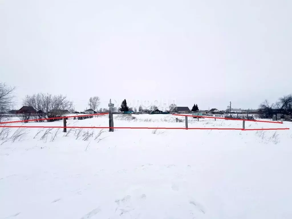 Участок в Новосибирская область, Новосибирский район, с. Ярково ул. ... - Фото 1