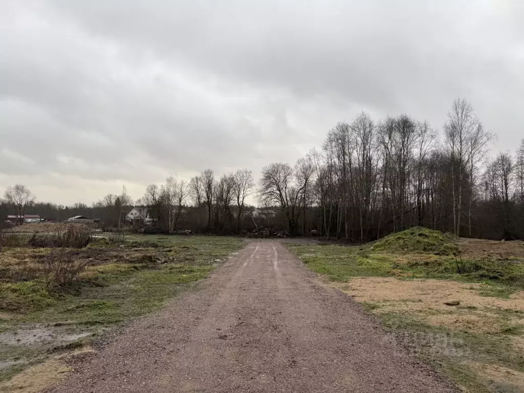 Участок в Ленинградская область, Выборгский район, Рощинское городское ... - Фото 1