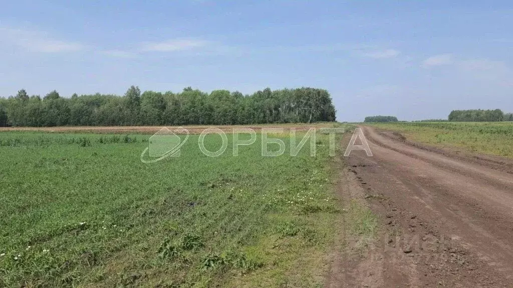 Участок в Тюменская область, Тюменский муниципальный округ, с. Луговое ... - Фото 2