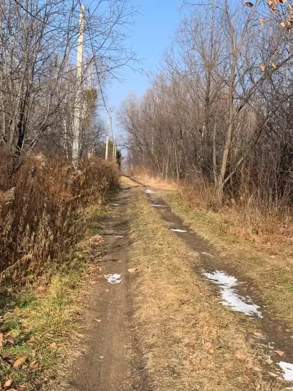 Участок в Хабаровский край, Хабаровский район, с. Дружба  (10.0 сот.) - Фото 2