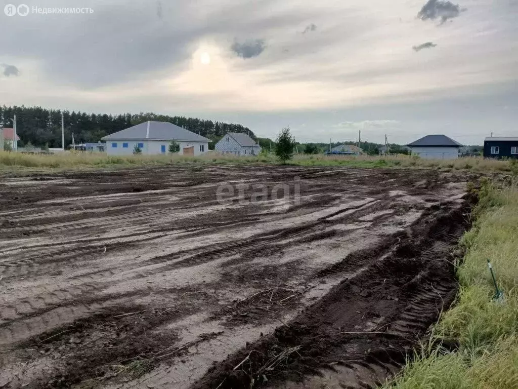 Участок в Бердск, улица Валерия Чкалова (10.9 м) - Фото 0