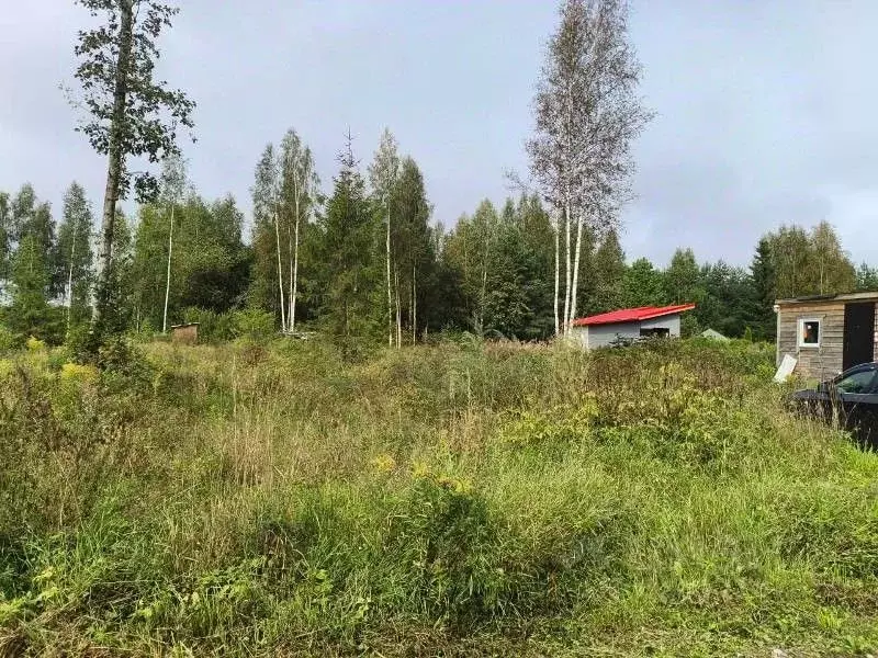 Участок в Ленинградская область, Волховский район, Колчановское с/пос, ... - Фото 1