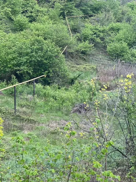 Участок 6,5 сот. (ИЖС) - Фото 1
