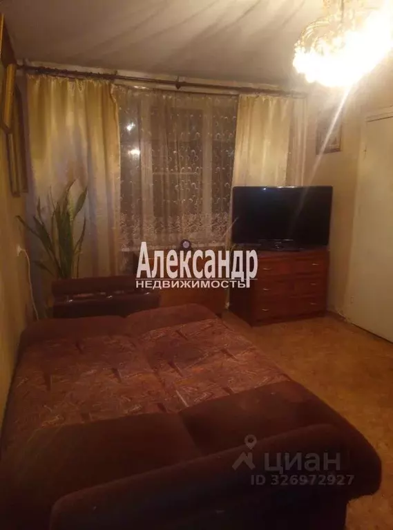 Комната Санкт-Петербург ул. Крыленко, 7К2 (27.0 м) - Фото 1