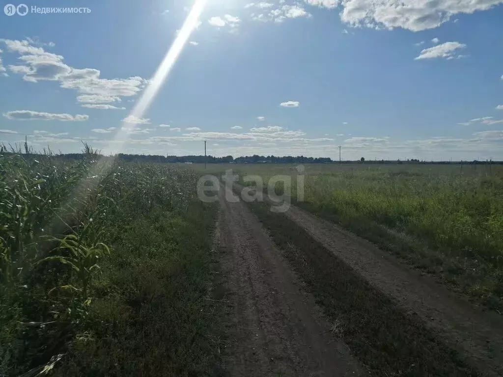 Участок в Челябинская область, Сосновский муниципальный округ, деревня ... - Фото 1