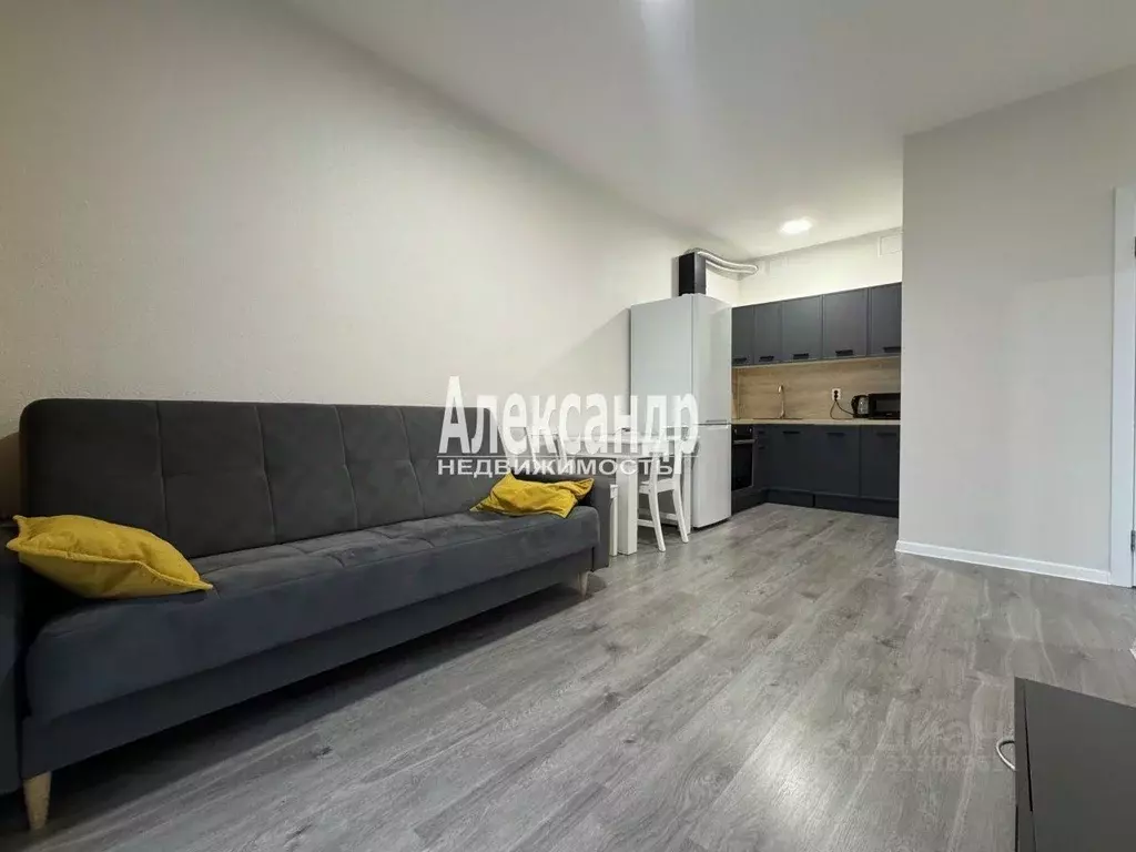 1-к кв. Ленинградская область, Мурино Всеволожский район, ул. Шоссе в ... - Фото 2