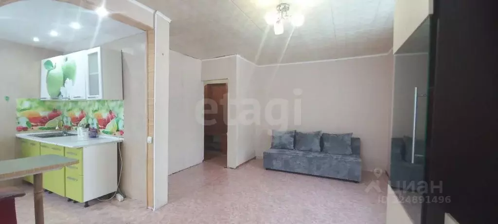 1-к кв. Челябинская область, Миасс Молодежная ул., 30 (31.8 м) - Фото 0