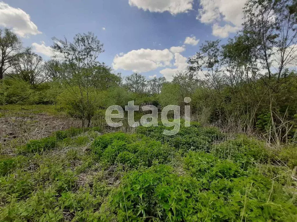 Участок в Белгородская область, Волоконовский район, Пятницкое рп ул. ... - Фото 0