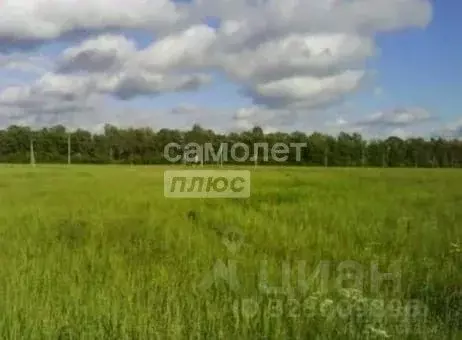 Участок в Башкортостан, Октябрьский Приозерный мкр,  (8.03 сот.) - Фото 2