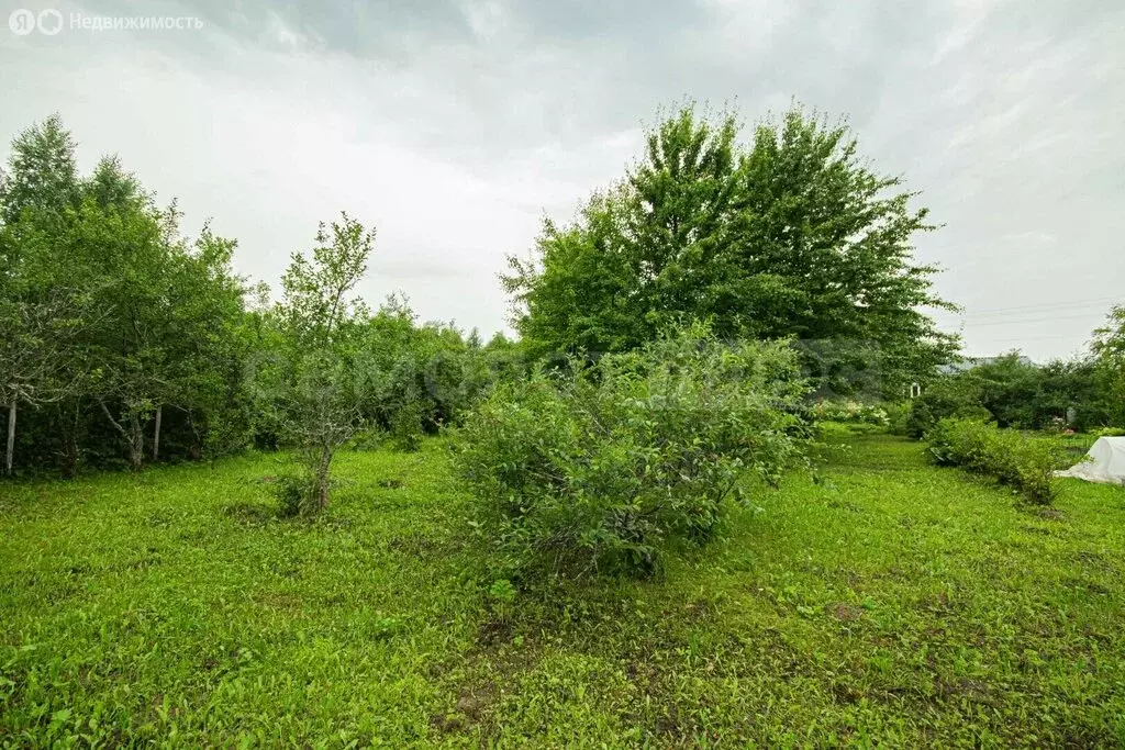 Участок в Наро-Фоминский городской округ, СНТ Клён (10 м) - Фото 2