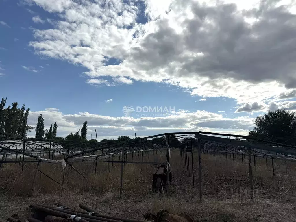 Участок в Ростовская область, Октябрьский район, Бессергеневское ... - Фото 2