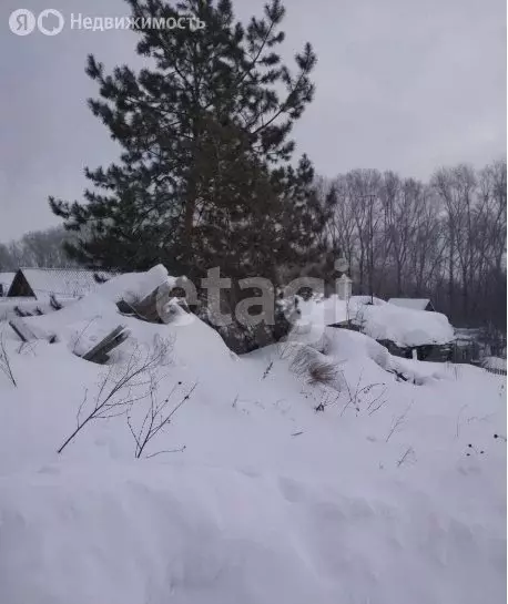 Участок в село Корнилово, улица Мичурина (14 м) - Фото 1