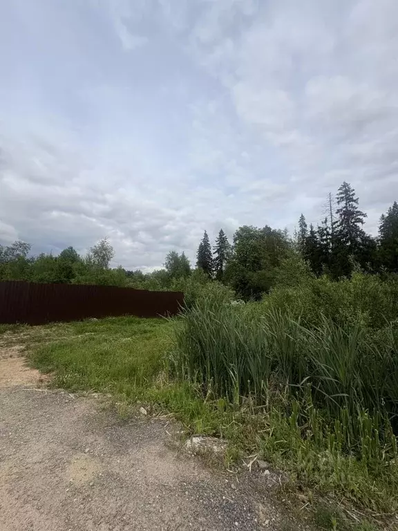 Участок в Московская область, Солнечногорск городской округ, Лисичкин ... - Фото 1