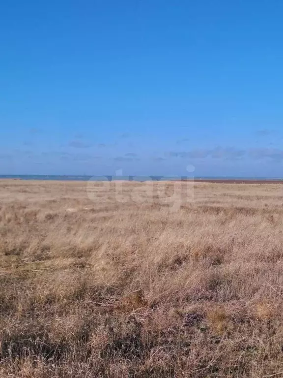 Участок в Крым, Сакский район, с. Штормовое ул. Ленина (6.26 сот.) - Фото 1