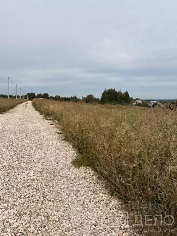 Участок в Рязанская область, Рязанский муниципальный округ, д. Рожок, ... - Фото 1
