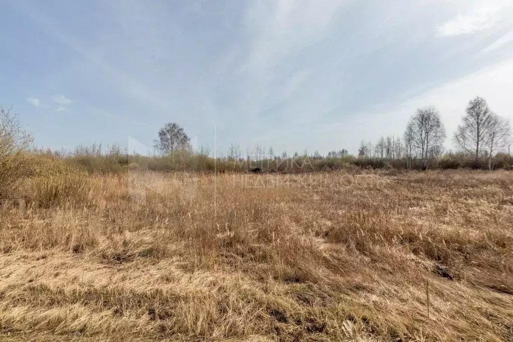 Участок в Тюменская область, Тюмень Поле Чудес садовое товарищество, ... - Фото 1