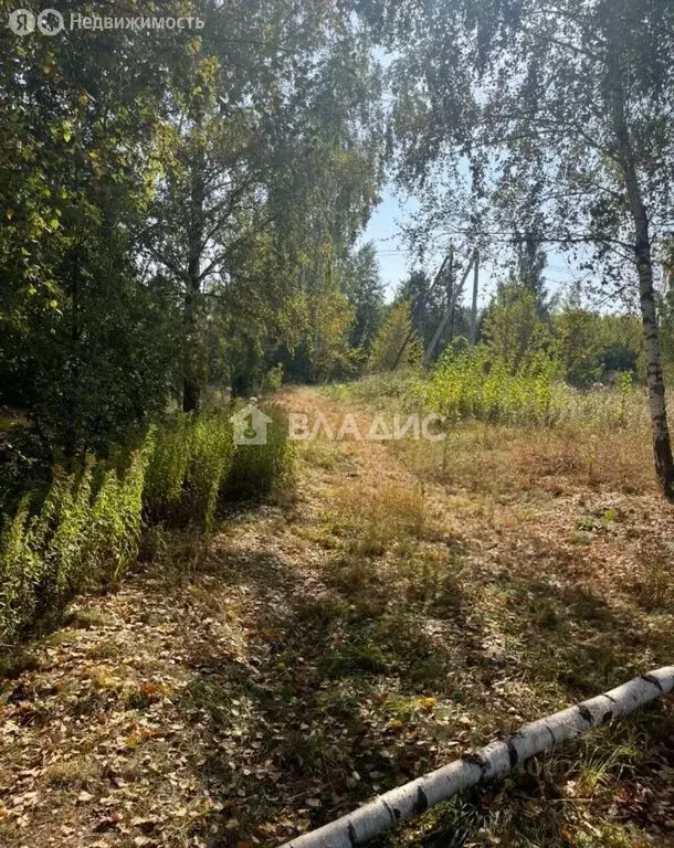 Участок в посёлок городского типа Красково, СНТ Пехорка, 22 (9 м) - Фото 0