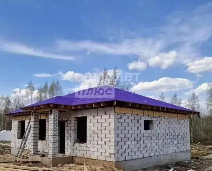Дом в Нижегородская область, Бор ул. Каштановая, 1 (103 м) - Фото 1