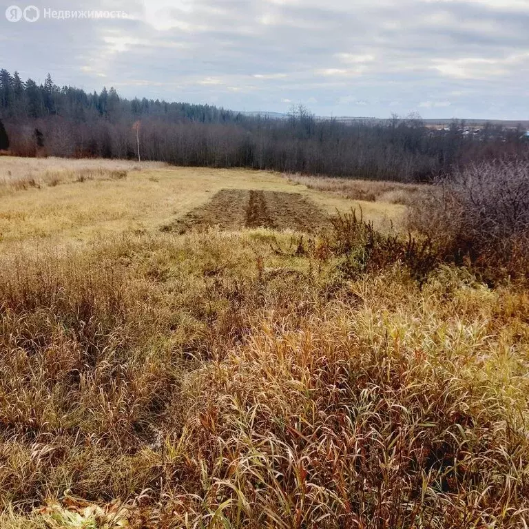 Участок в деревня Средний Постол, Нагорная улица (17 м) - Фото 1