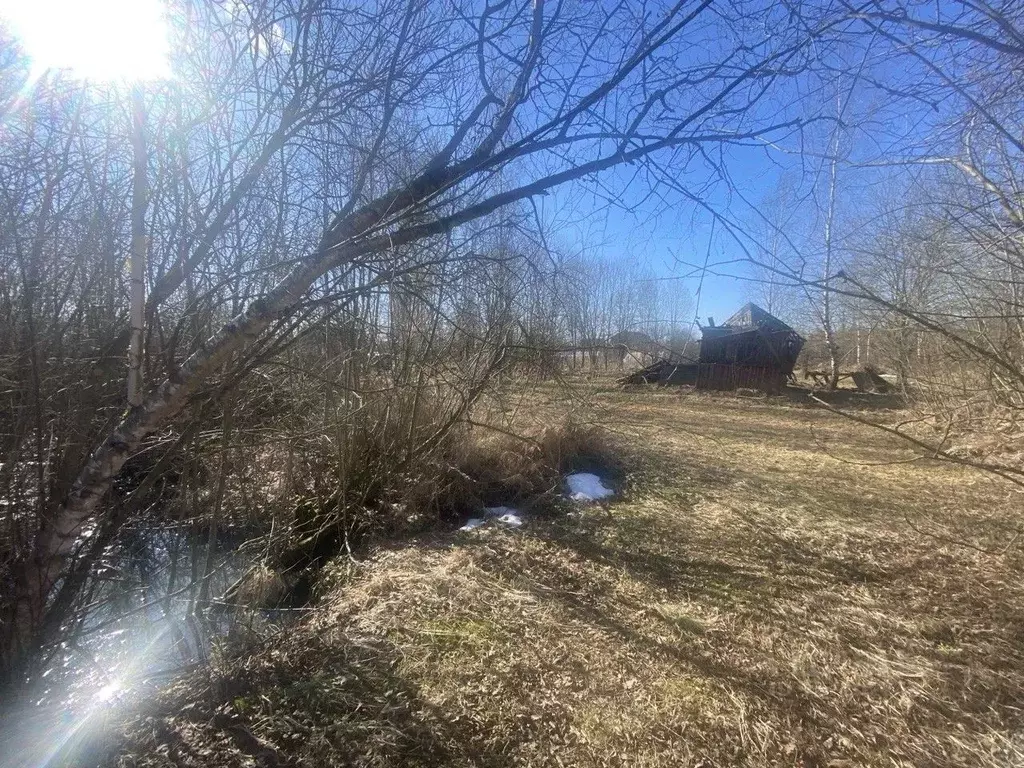 Участок в Новгородская область, Новгородский район, Ермолинское с/пос, ... - Фото 2