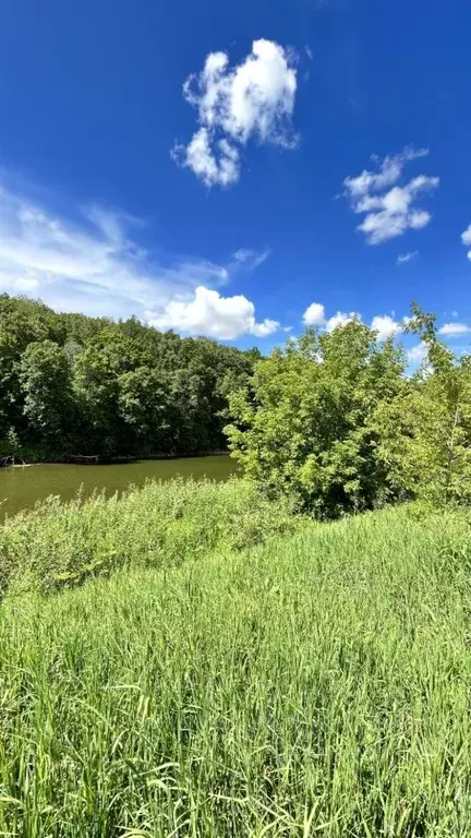 участок в татарстан, лаишевский район, егорьевское с/пос, с. бима . - Фото 1