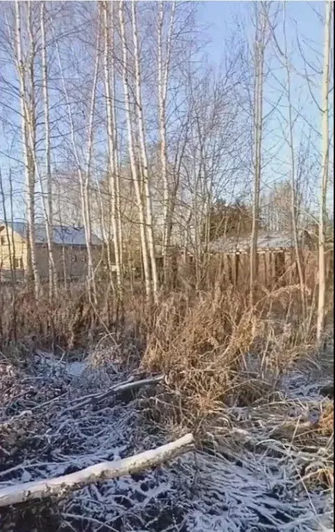 Участок в Московская область, Талдомский городской округ, д. Малое ... - Фото 1