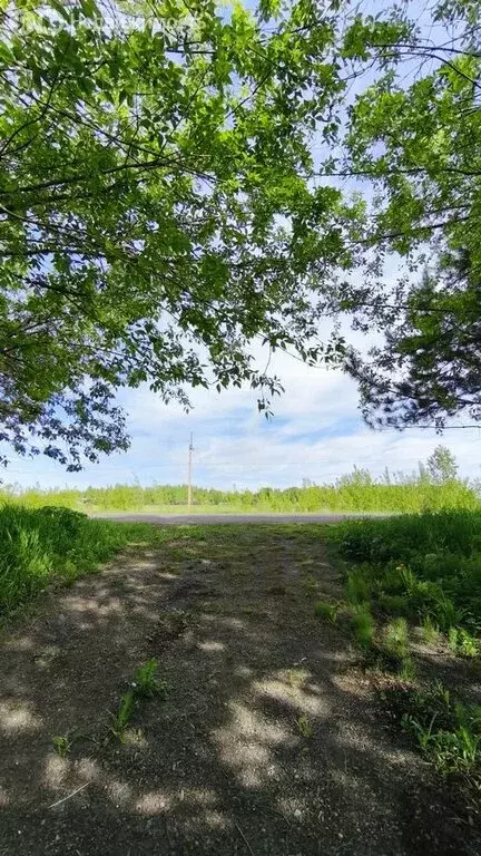 Дом в село Сосновка, Кордонная улица, 9А (282.6 м) - Фото 0