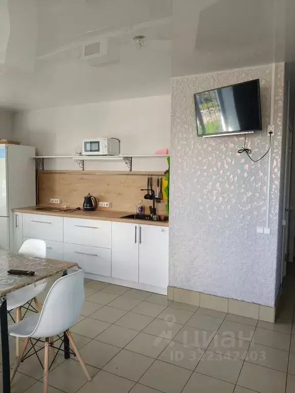 Студия Нижегородская область, Чкаловск ул. Ломоносова, 57 (30.0 м) - Фото 1