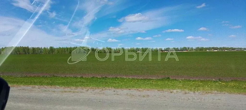 Участок в Тюменская область, Тюменский муниципальный округ, д. ... - Фото 2