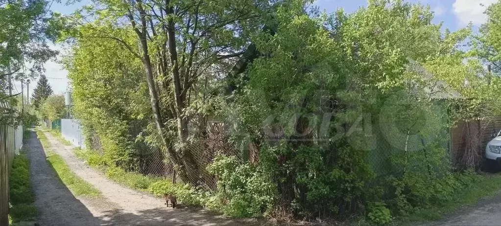 Дача 20 м на участке 4,9 сот. - Фото 0