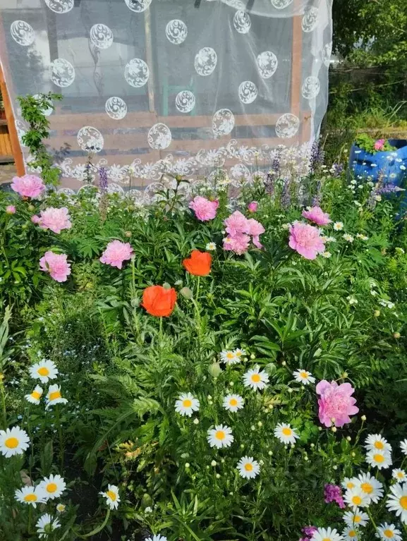 Участок в Челябинская область, Сосновский муниципальный округ, пос. ... - Фото 1