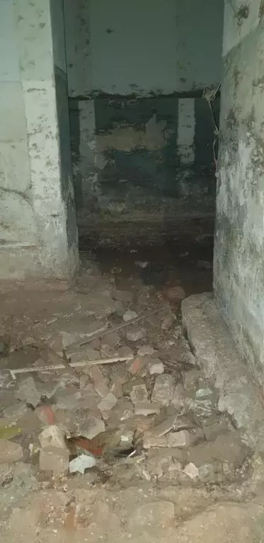 Помещение свободного назначения в Воронежская область, Воронеж ... - Фото 2