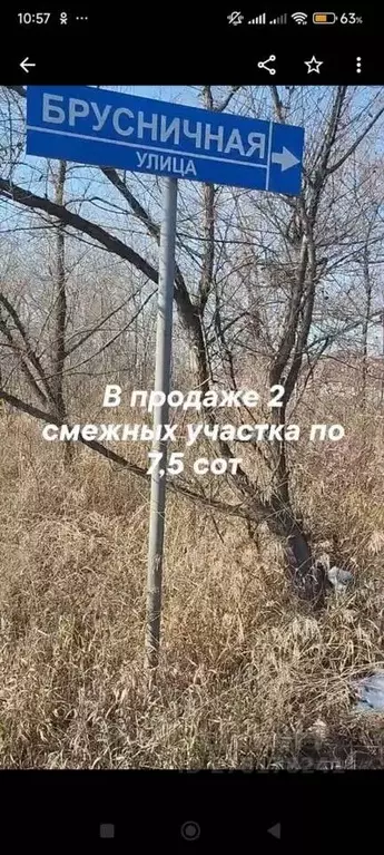 Участок в Хакасия, Усть-Абаканский район, с. Зеленое ул. Брусничная, 1 ... - Фото 0