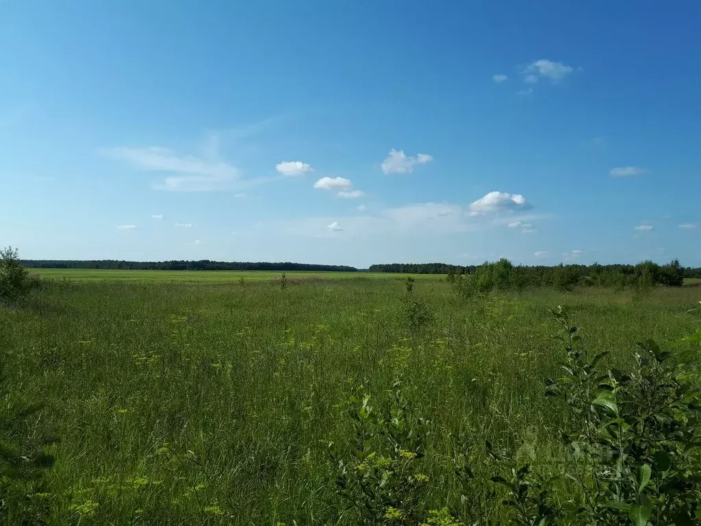 Участок в Краснодарский край, Ейское с/пос, пос. Октябрьский ул. ., Купить  земельный участок Октябрьский, Краснодарский край, ID объекта - 20005869772