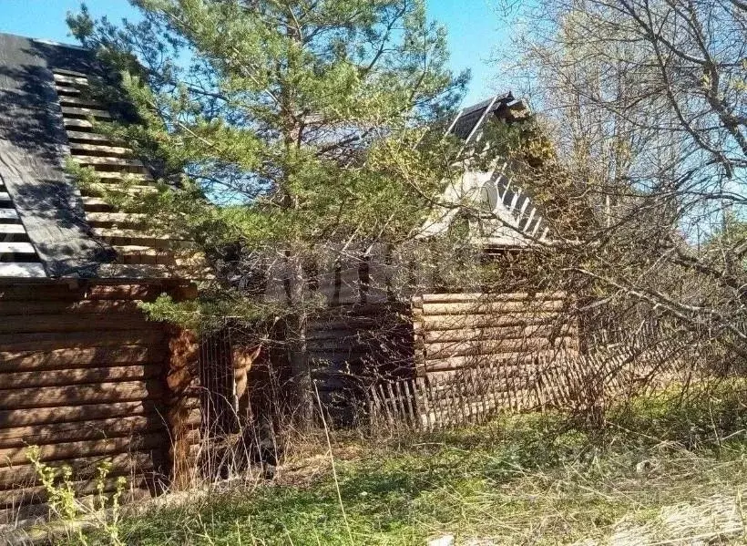 Дом в Вологодская область, Сокольский муниципальный округ, д. Пахино  ... - Фото 1