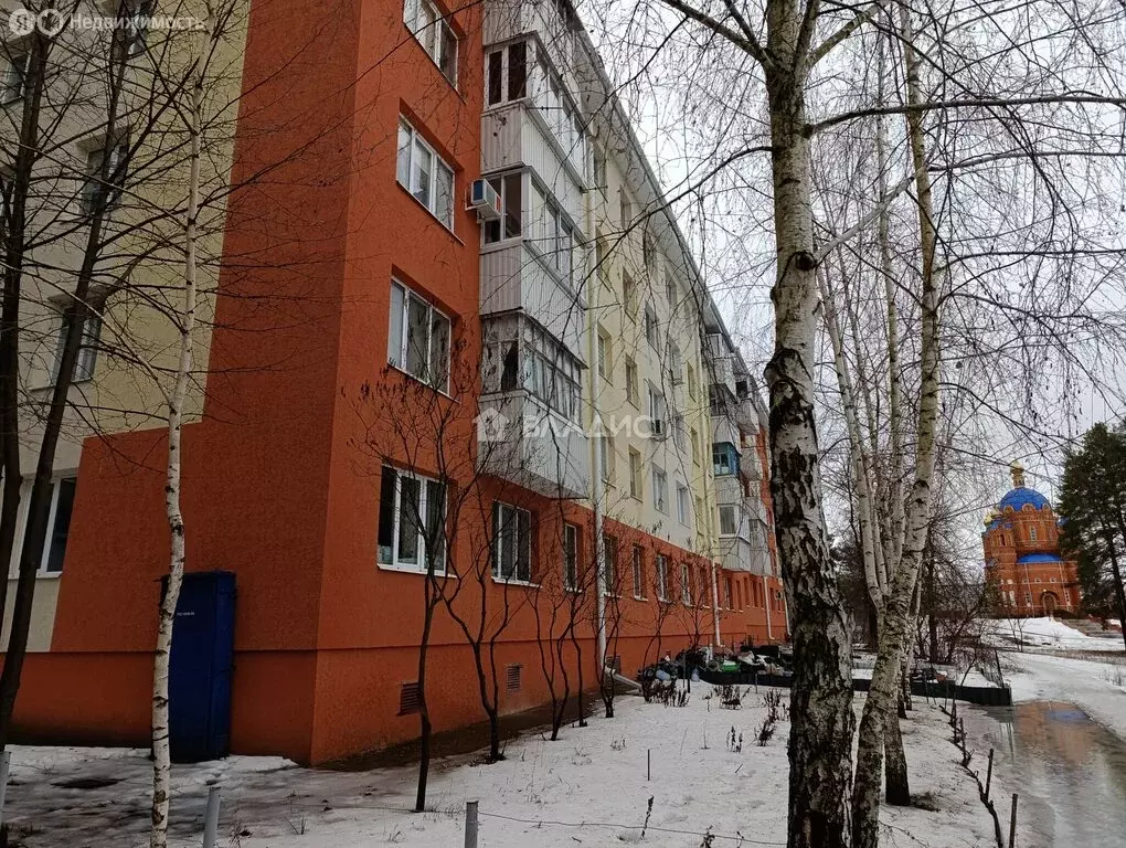 1-комнатная квартира: Шебекино, Парковая улица, 1 (30.7 м) - Фото 1