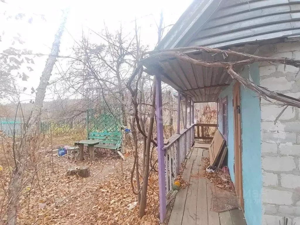 Участок в Амурская область, Благовещенский район, Звезда СТ  (8.7 ... - Фото 1
