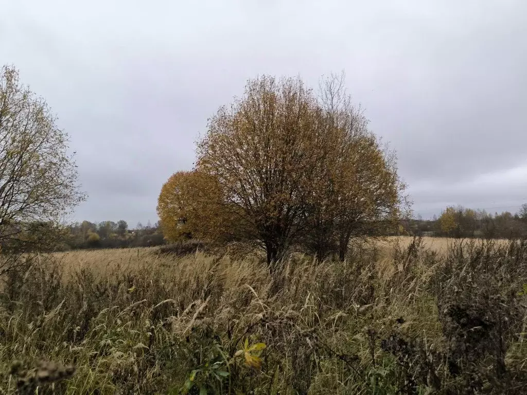 Участок в Московская область, Лотошино муниципальный округ, д. ... - Фото 1