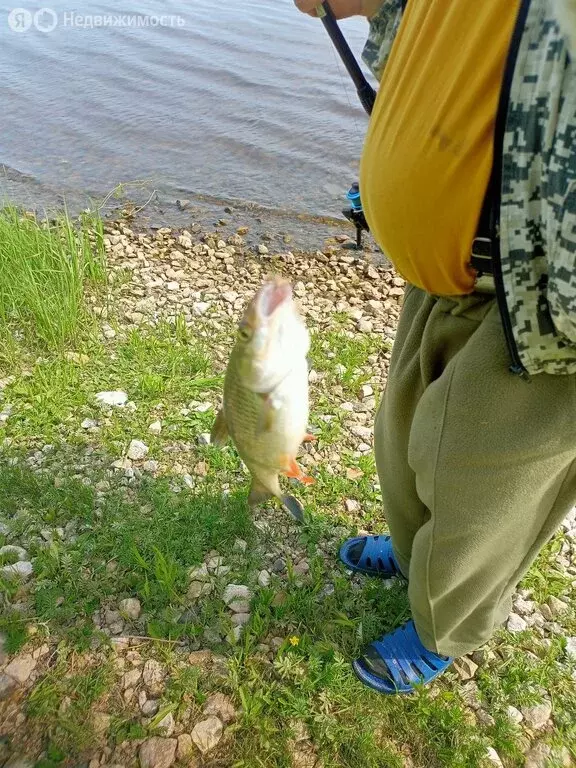 Участок в Городец, улица Кирова (46 м) - Фото 2