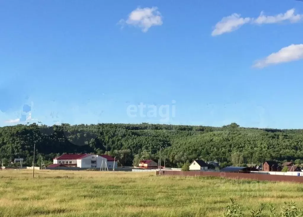 Участок в Мордовия, Кочкуровский район, с. Мурань Центральная ул. ... - Фото 0