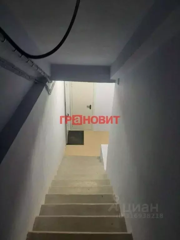 Помещение свободного назначения в Новосибирская область, Новосибирск ... - Фото 0