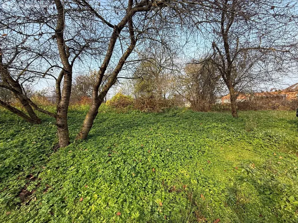 Участок в село Црау, улица Кирова (20 м) - Фото 2