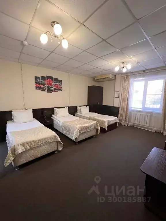 Комната Забайкальский край, Чита ул. Забайкальского Рабочего, 45 - Фото 0
