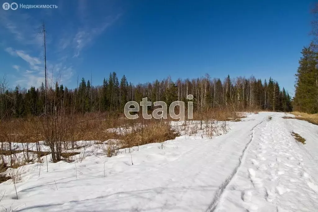 Участок в Горноуральский городской округ, посёлок Синегорский (17 м) - Фото 0