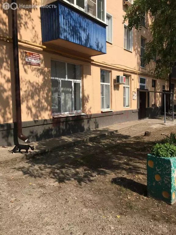 3-комнатная квартира: Сальск, Социалистическая улица, 168А (55 м) - Фото 1