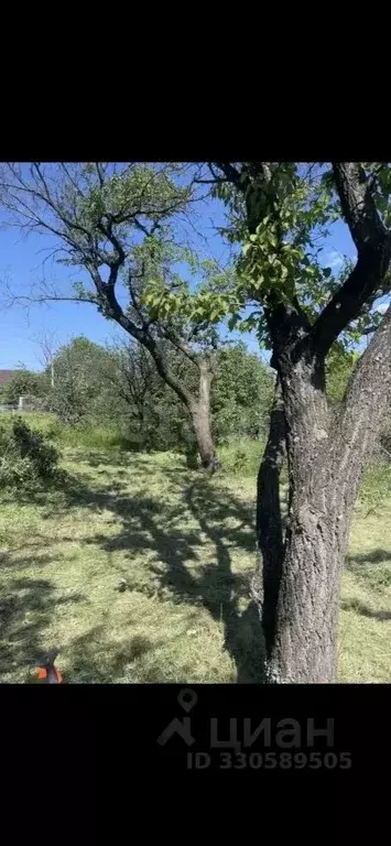 Участок в Ростовская область, Новочеркасск № 16 садовое товарищество, ... - Фото 1