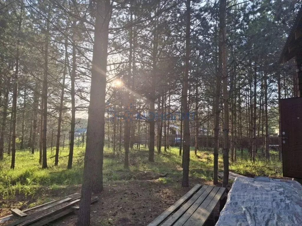 Участок в Нижегородская область, Володарский муниципальный округ, с. ... - Фото 1