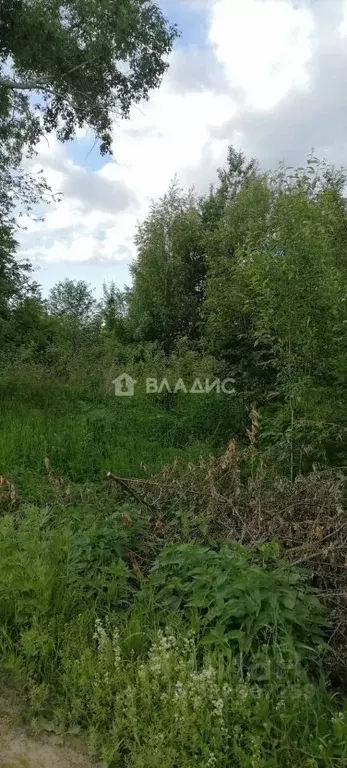 Участок в Коми, Сыктывкар Заречье мкр, ул. Сплавная, 24 (15.45 сот.) - Фото 0
